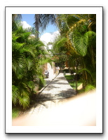 Spring Break 2007 - Playa Del Carmen 174