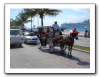 Spring Break 2007 - Playa Del Carmen 298