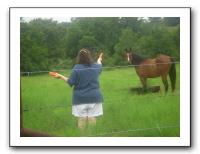 Garrett Creek Ranch 182