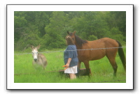 Garrett Creek Ranch 184