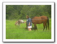 Garrett Creek Ranch 186