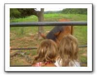 Garrett Creek Ranch 191