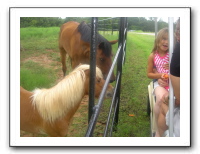 Garrett Creek Ranch 194