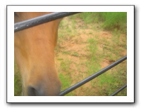 Garrett Creek Ranch 197