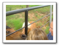 Garrett Creek Ranch 200