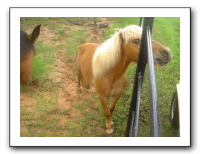 Garrett Creek Ranch 201
