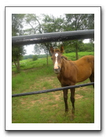 Garrett Creek Ranch 204