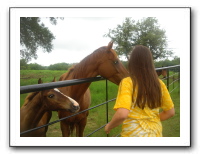 Garrett Creek Ranch 214