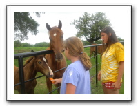 Garrett Creek Ranch 219
