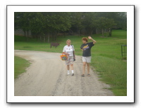 Garrett Creek Ranch 223