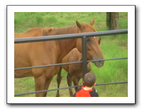 Garrett Creek Ranch 224