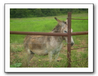 Garrett Creek Ranch 233