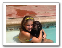 Jazzoo 2007
