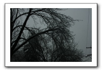 Ice Storm