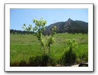 Denver Trip 06-09 175