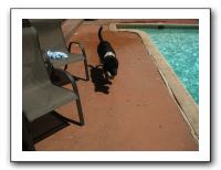 Emilie and Friends at the Pool 07-26-09 001
