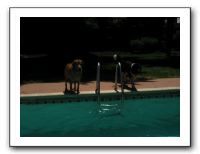 Emilie and Friends at the Pool 07-26-09 030