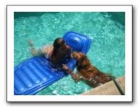 Emilie and Friends at the Pool 07-26-09 005