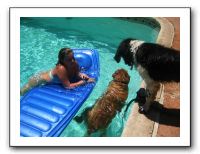 Emilie and Friends at the Pool 07-26-09 008