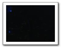 American Idol Concert - Aug 2009 019