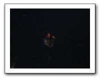 American Idol Concert - Aug 2009 021