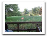 KC Zoo Party - Aug 2009 118