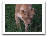 KC Zoo Party - Aug 2009 140