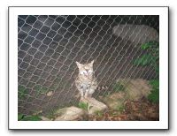KC Zoo Party - Aug 2009 147