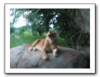 KC Zoo Party - Aug 2009 148