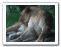 KC Zoo Party - Aug 2009 150