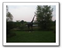 KC Zoo Party - Aug 2009 177