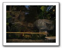 KC Zoo Party - Aug 2009 184