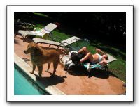 Emilie and the Gang Poolside - Aug 2009 011