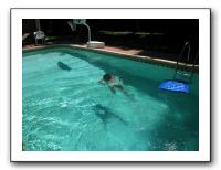 Emilie and the Gang Poolside - Aug 2009 018