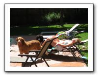 Emilie and the Gang Poolside - Aug 2009 002