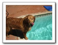 Emilie and the Gang Poolside - Aug 2009 054