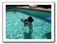 Emilie and the Gang Poolside - Aug 2009 056