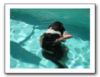 Emilie and the Gang Poolside - Aug 2009 057