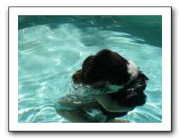 Emilie and the Gang Poolside - Aug 2009 062