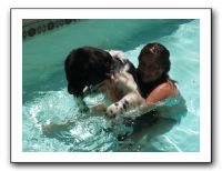 Emilie and the Gang Poolside - Aug 2009 069