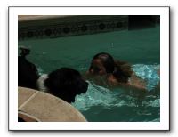 Emilie and the Gang Poolside - Aug 2009 072