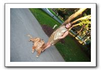 Emilie's Homecoming - Oct 2009 016
