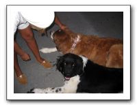Family and Friends - Sept 2009 002