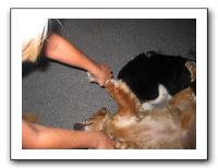 Family and Friends - Sept 2009 021