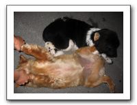 Family and Friends - Sept 2009 023