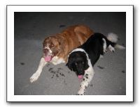 Family and Friends - Sept 2009 003