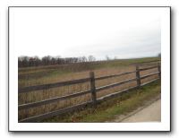 Thanksgiving 2009 146