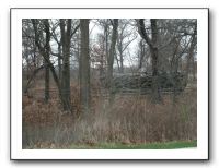 Thanksgiving 2009 152