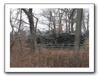 Thanksgiving 2009 154