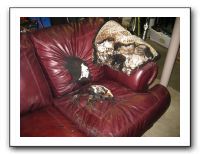Thanksgiving 2009 002